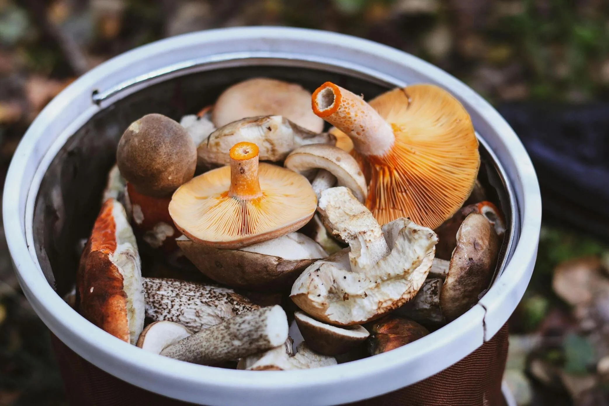 De la terre
à votre table
